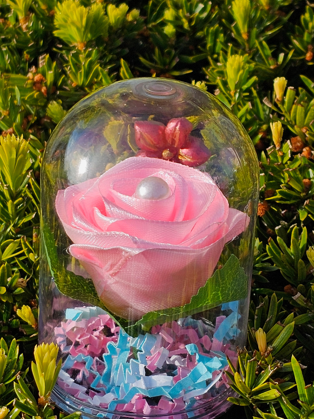 Rose Dome